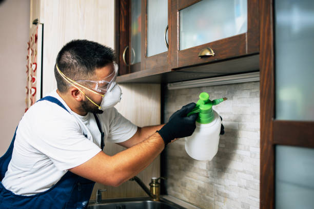 Best Ant Control Services  in Willmsburg, IA