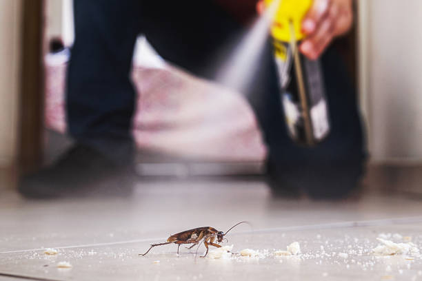Best Pest Prevention Services  in Willmsburg, IA